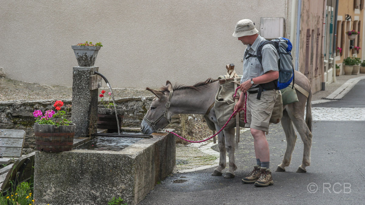 Esel trinkt am Dorfbrunnen