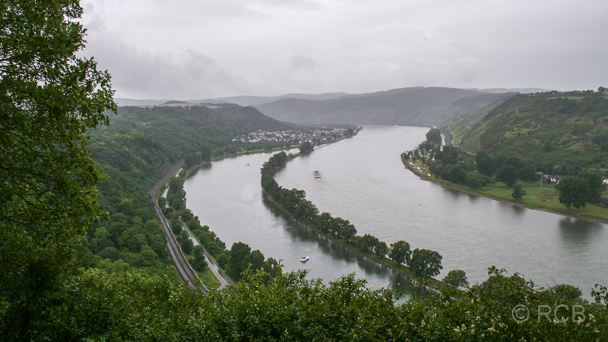 Naturschutzgebiet "Auf der Schottel" am Rhein