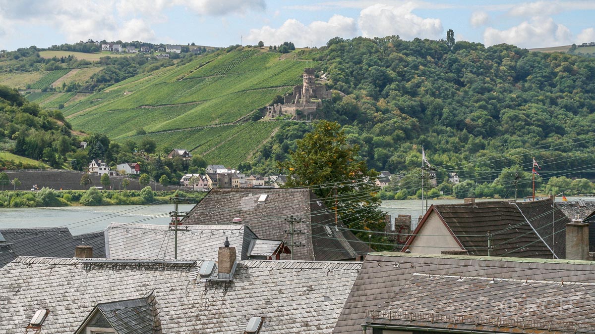 Blick über die Dächer von Lorch zur Burg Fürstenberg