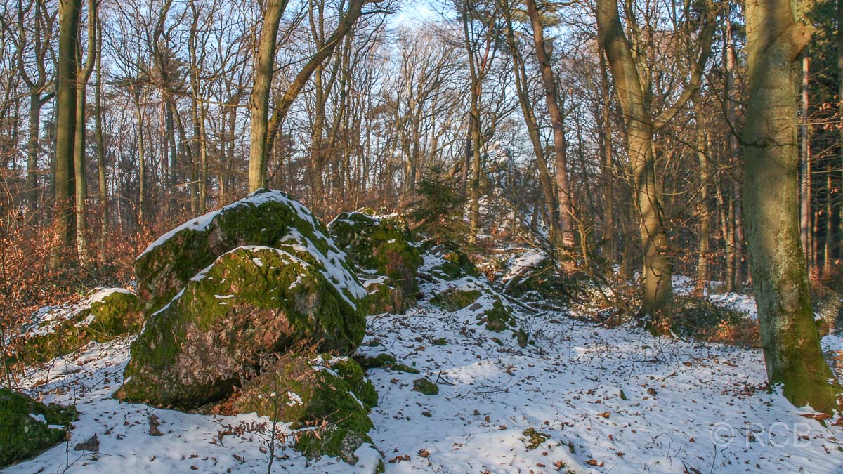 Naturdenkmal "Grauer Stein"