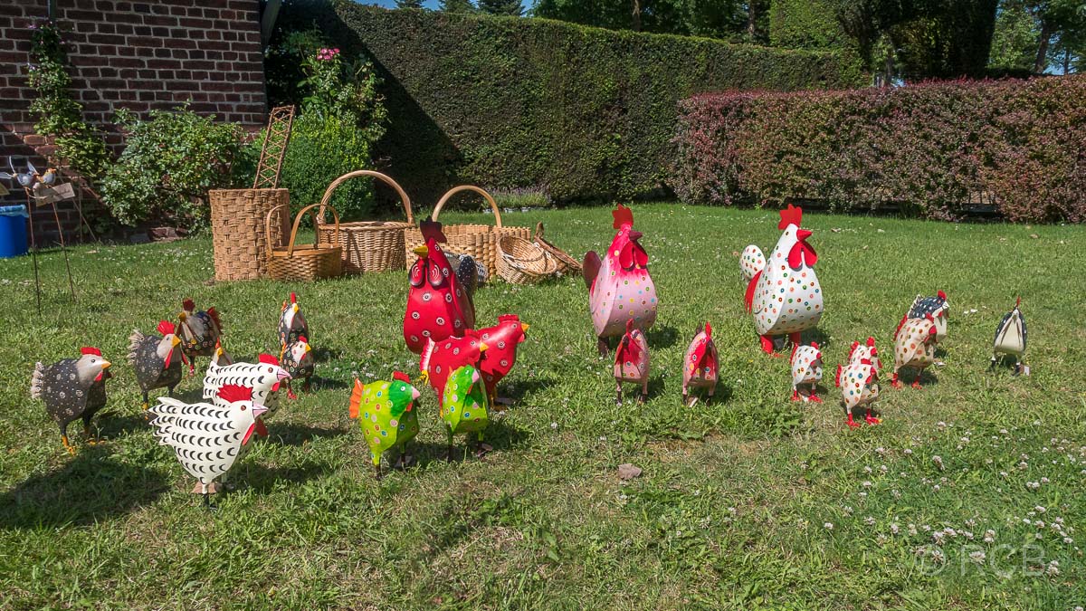 Blechhühner in einem Garten