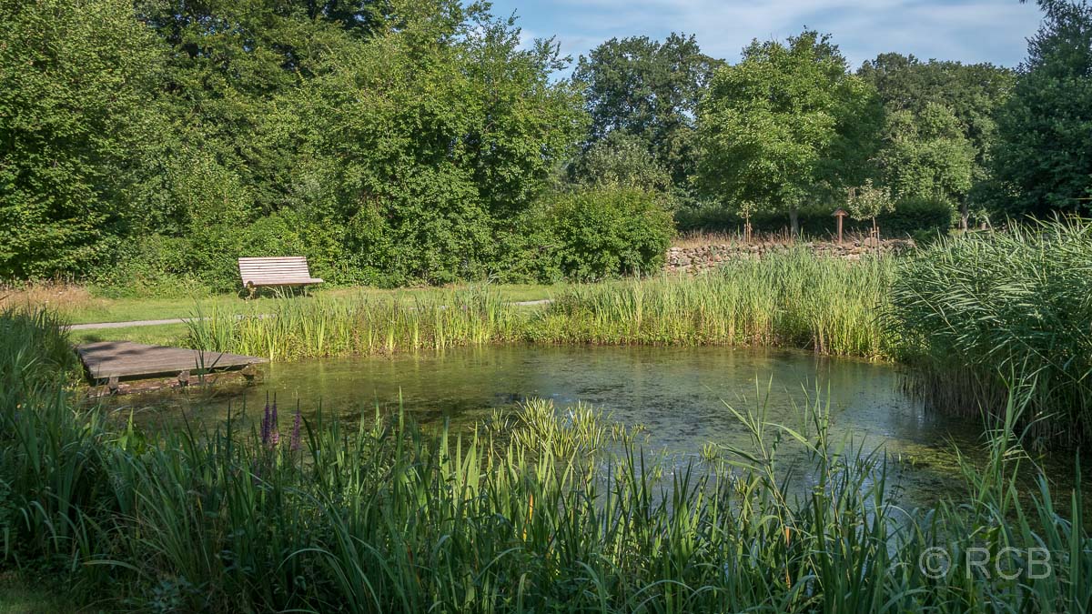 Teich an der Biologischen Station des Kreises Recklinghausen