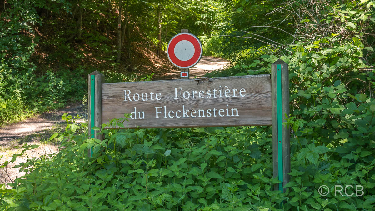 Straße zum Château de Fleckenstein