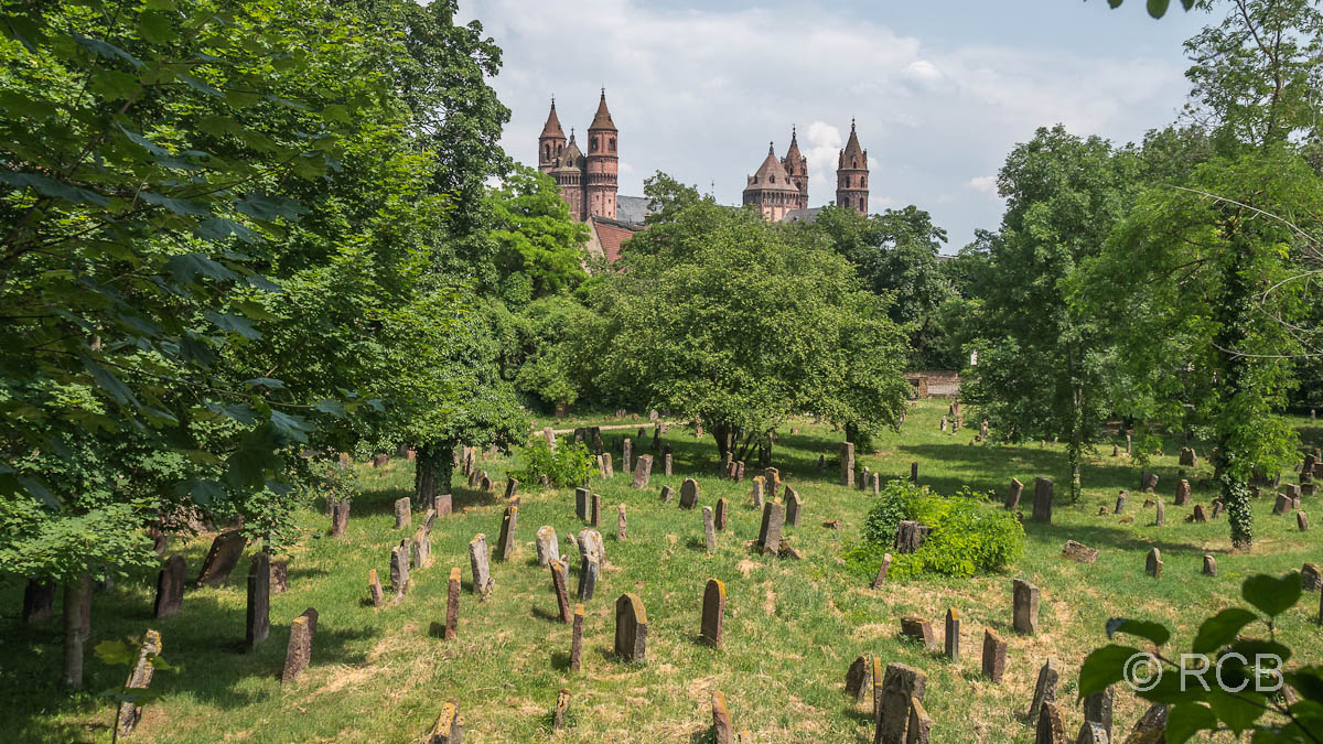 jüdischer Friedhof und Dom