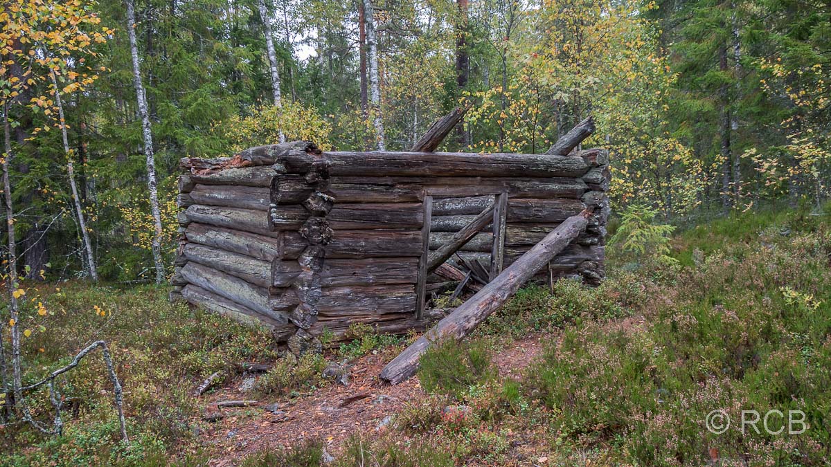 verlassene Hütte im Wald