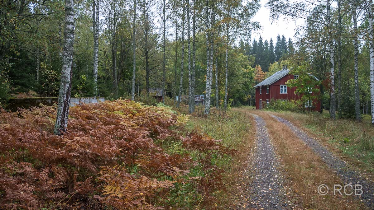 Siedlung Björbol, mitten im Wald