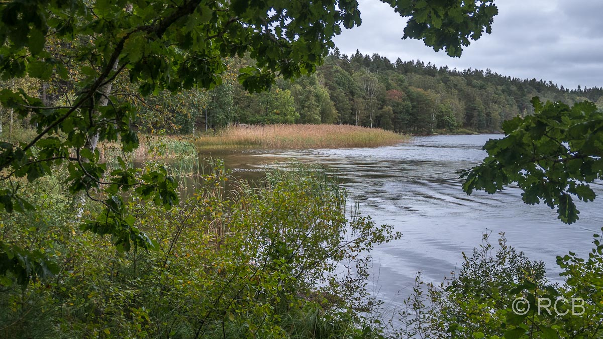 am Ufer des Stora Delsjö