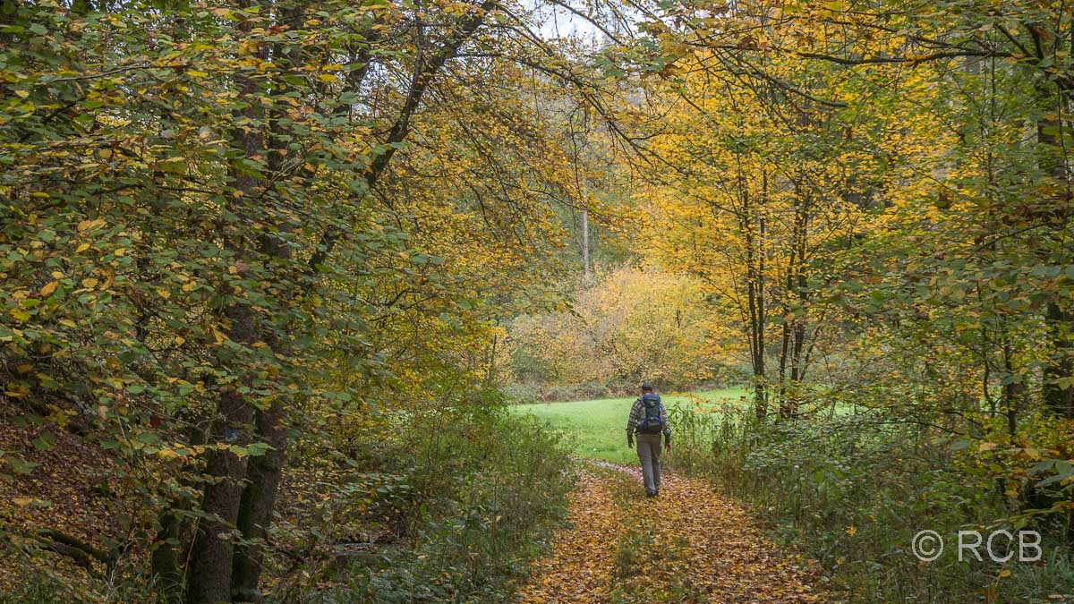 Wanderer im gelb-grünen Herbstwald