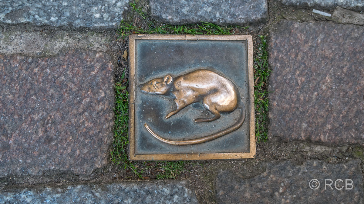 die Ratte - das berühmteste Tier in Hameln