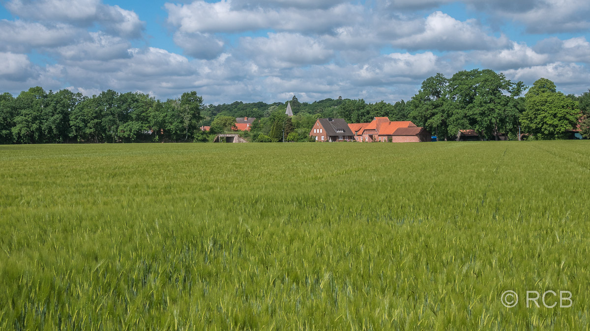 Felder hinter Nienburg