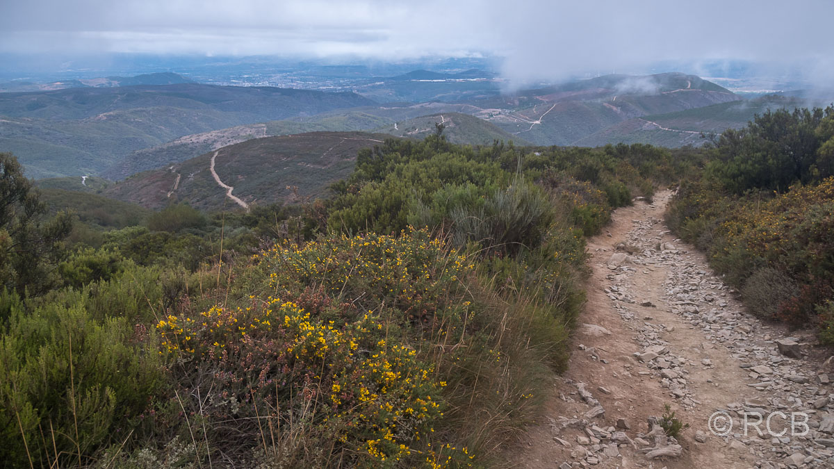 Beim Abstieg lichtet sich der Nebel langsam, in der Ferne war schon Ponferrada zu sehen.