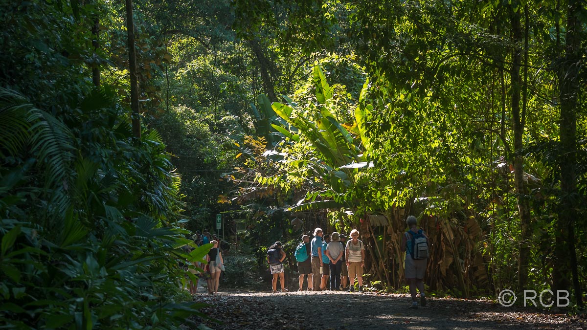 Touristenansammlung am Haupttrail durch den Nationalpark Manuel Antonio