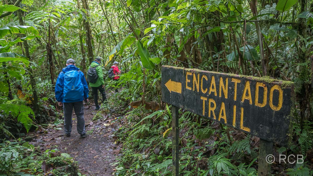Wanderweg im Santa Elena-Naturreservat