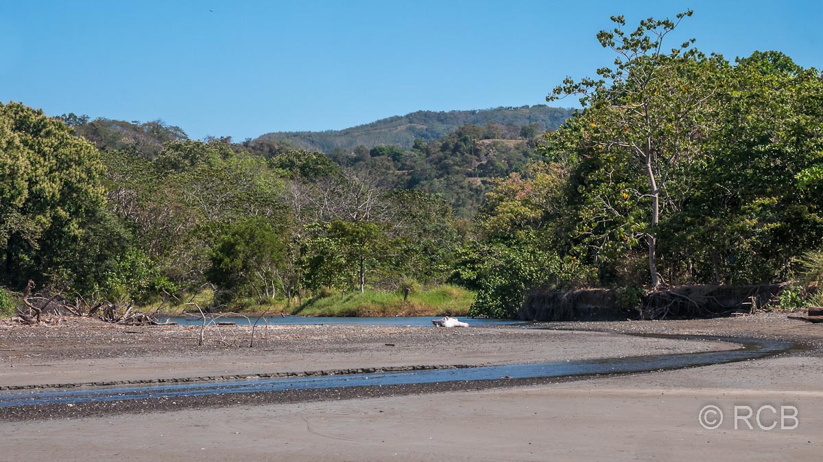 Malanoche-Flussmündung bei Sámara