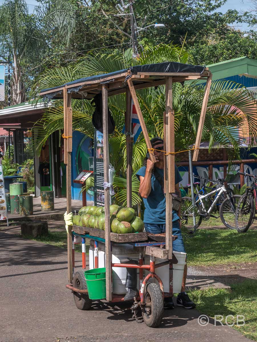 Kokosnusssaft-Verkäufer