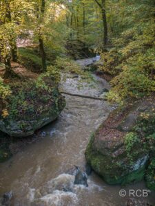 Bach im Wald