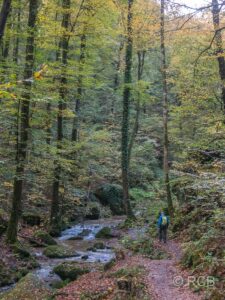 Mann wandert am Bachufer