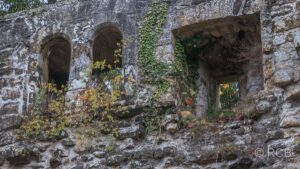 überwucherte Fenster einer Ruine