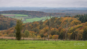 Blick über Wälder