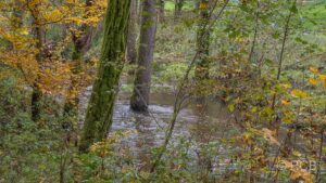 Hochwasser an der Weißen Ernz