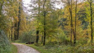 Radweg entlang der Weißen Ernz