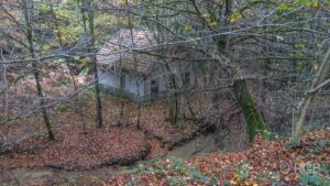 einsames Haus im Wald