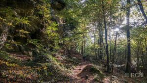 Wanderer im Wald