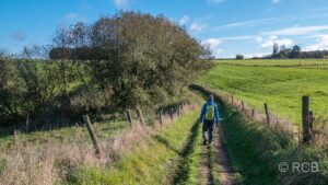 Wanderer auf Feldweg