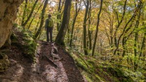 Wanderer im Wald