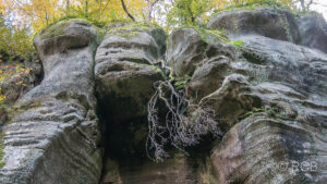 Felsen mit Baum, der über Kopf hängt