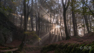 Sonne bricht durch Nebel