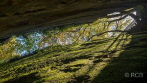 Blick nach oben in einer Felsspalte