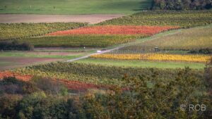 bunte Weinberge