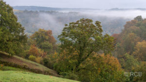 Nebel über dem Tal der Sauer