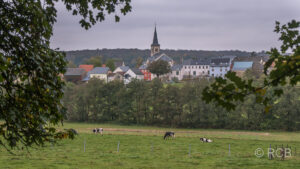 Kühe vor Ortschaft