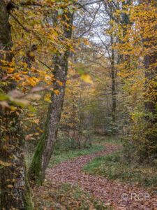 schlängelnder Weg