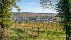 Ortschaft inmitten von Weinbergen