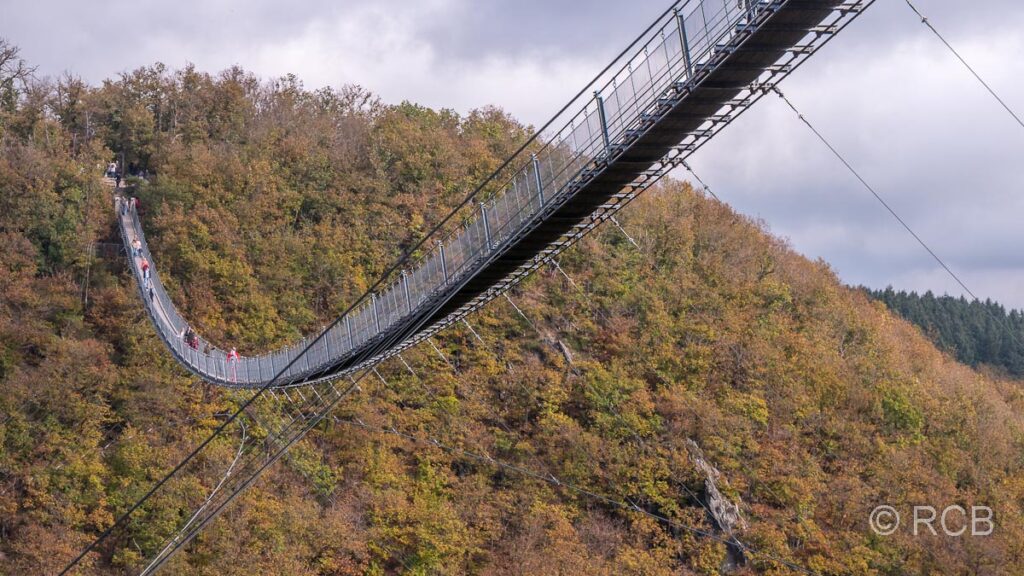 unter der Geierlay-Hängebrücke