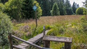 Bohlenweg im Moor