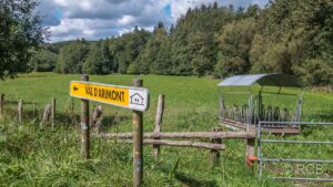 Wegweiser vor grüner Wiese