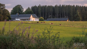 Gut Eidt im Abendlicht