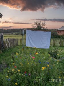 Sonnenuntergang über einer Wäscheleine