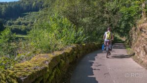 Radler auf Radweg